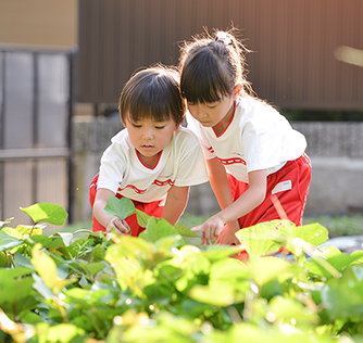 1日の流れ・年間行事